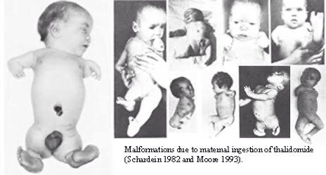 Kelsey's insistence that the drug should be fully tested prior to approval was vindicated when the births of deformed infants in Europe were linked to thalidomide ingestion by their mothers during pregnancy.(13/n)