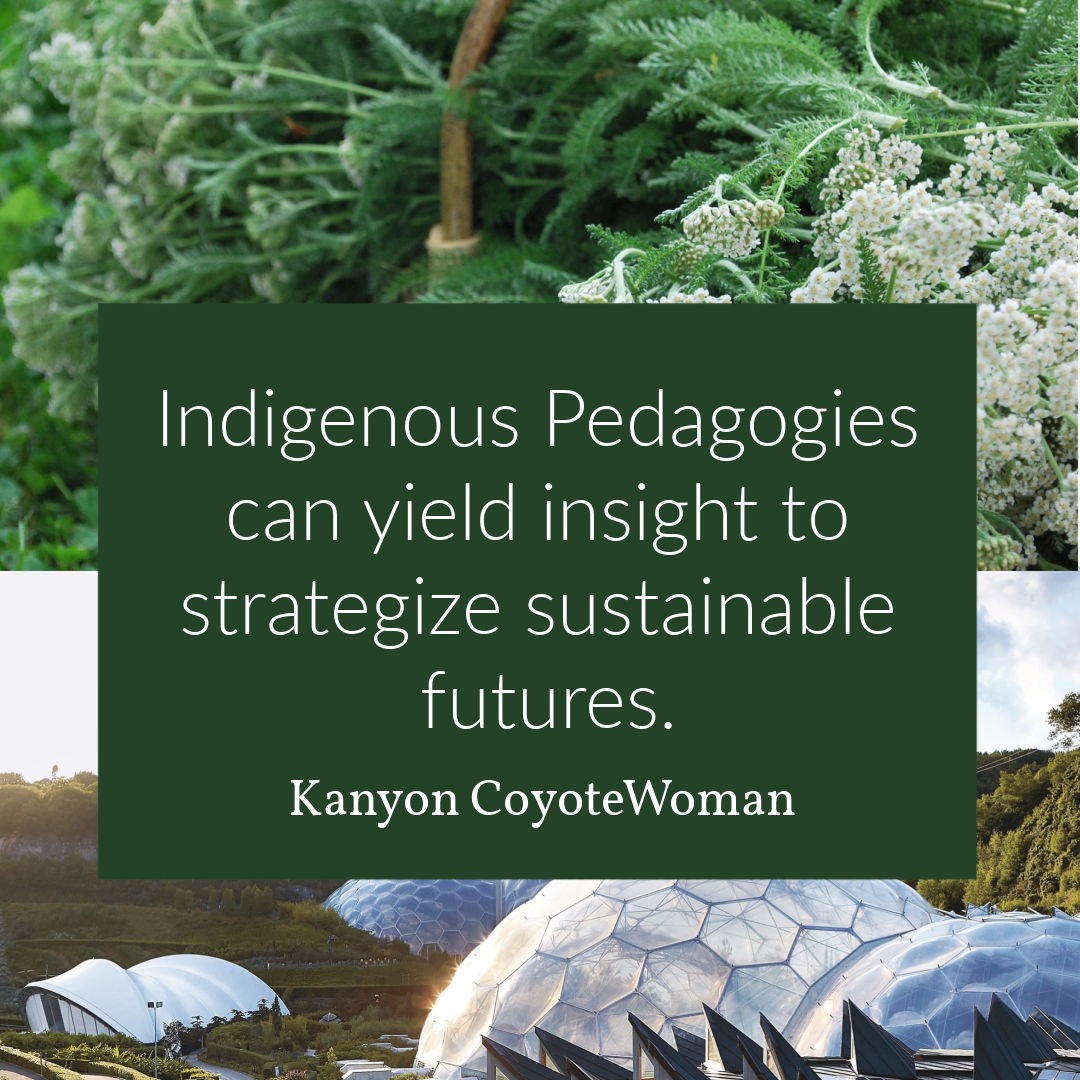 KanyonLlc's tweet photo. Indigenous Pedagogies can yield insight to strategize sustainable futures.

Kanyon CoyoteWoman #nativetwitter #sustainability  #sustainableFuture #indigenous https://t.co/wjv8M94vQL