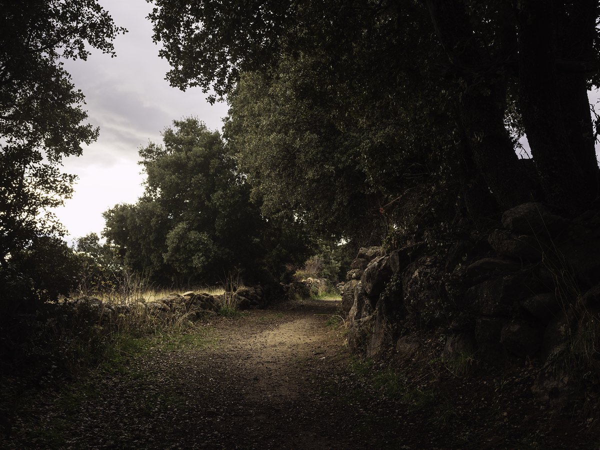 CasaChaluca's tweet photo. Caminos de La Aldehuela. Reserva @CasaChaluca en: https://t.co/H4oJarBuuE https://t.co/wdZ5r7pRvD https://t.co/PPI3rwe6vw o casachaluca@gmail.com #relax #alojamientorural #casarural #turismorural #escapadarural #TurismoconPerros #DogFriendly #CasaChaluca https://t.co/UvRy4rSbfG