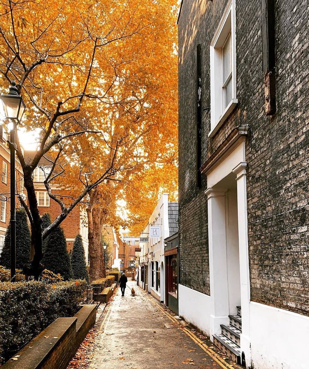 GrangeHotels's tweet photo. Where's your favourite spot in London? Let us know in the comments below…👇 ( Photos @liolaliola, @its_so_london) https://t.co/hk1LPP4hQ6