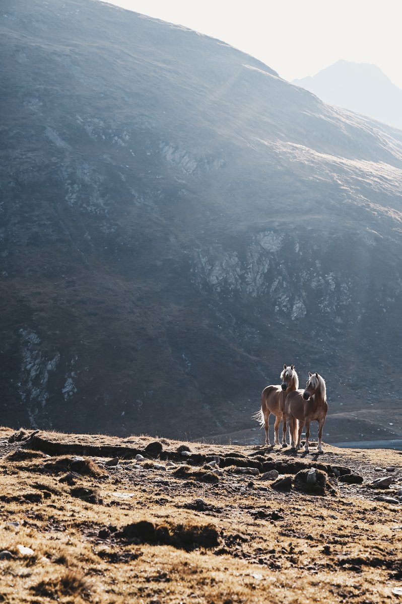 Důvěřujte své vizi a dejte si na čas. To jsou první dva tipy od Marion Payr, která vás provede 14. tématem projektu #CreateYourLight. 📸

Kompletní znění najdete na české FB stránce Nikon! 💛