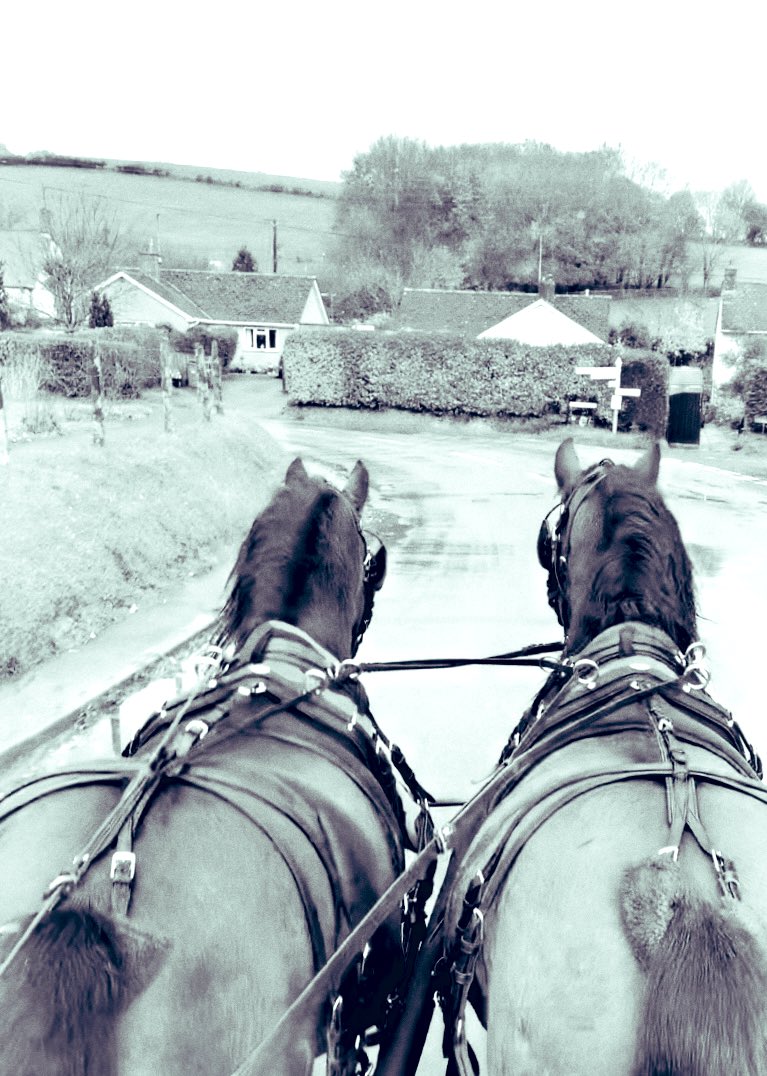 KVEquestrians's tweet photo. Little weekend outing. Lots of progression ahead. 
First really cold and wet day. 
#colderweather #poniesofinstagram #weekendvibes #november2020 #countryliving #countrylife #winteriscoming #teamwork https://t.co/LQykTHSUhX