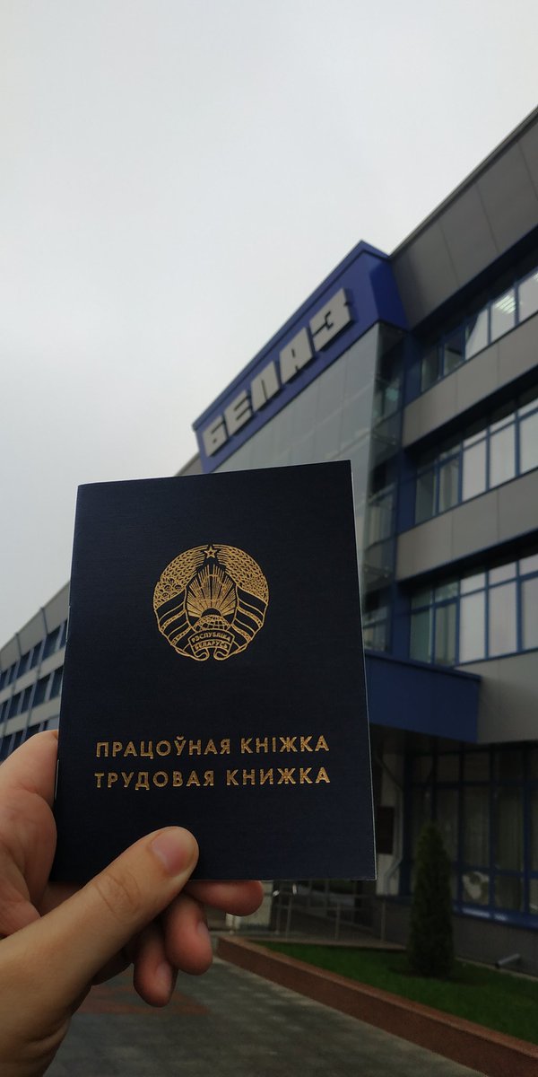 Pussy Willow tweet media