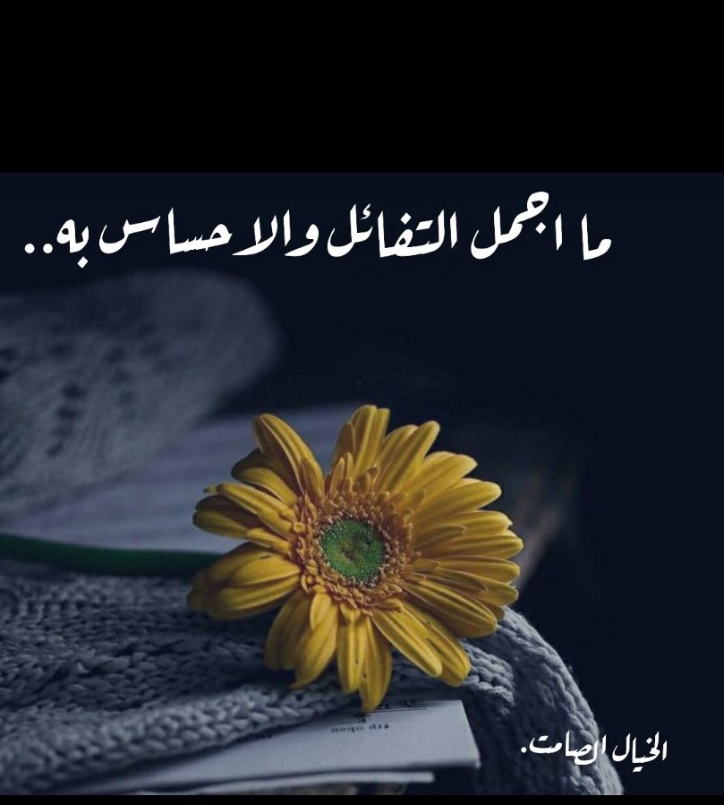 maher5525ms's tweet photo. https://t.co/PqTyWB77Mp