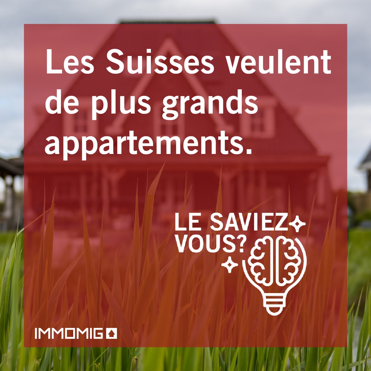 IMMOMIG AG tweet media