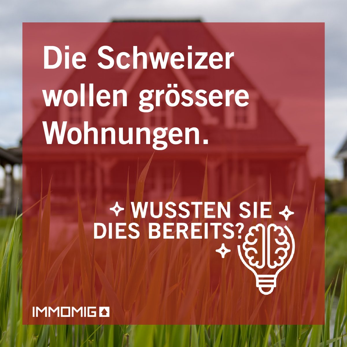 IMMOMIG AG tweet media