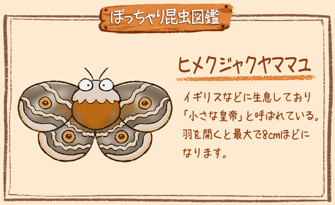 クジャクヤママユのtwitterイラスト検索結果 クジャクヤママユのtwitterイラスト検索結果