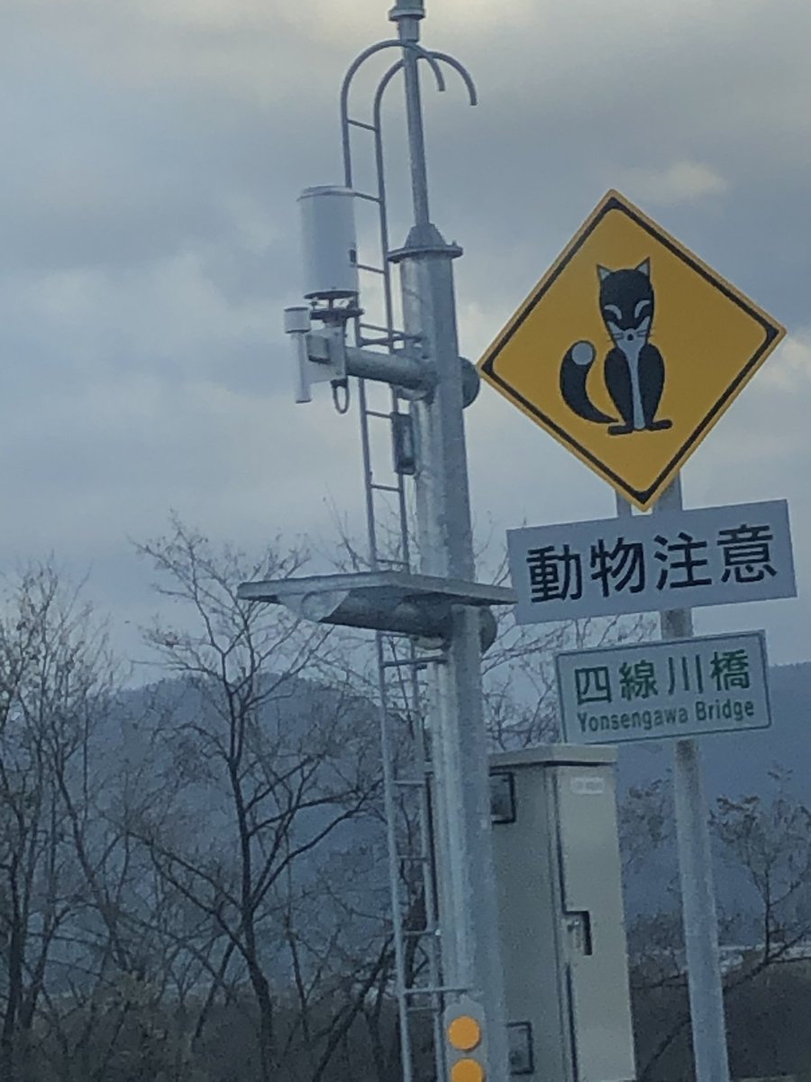 No2 動物注意看板 旭川十勝道 きつね さすが北海道 狐看板 やっと見れた 動物注意看板