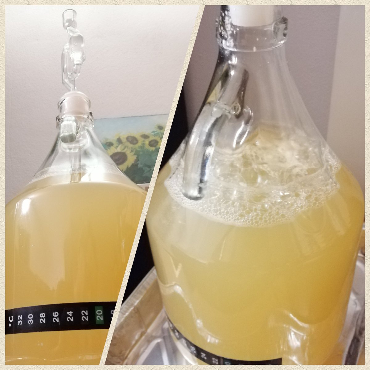 ClaudioProsit's tweet photo. #sempreinfermento Manteniamoci in forma con le fermentazioni
#idromele #miele #tiglio #mieleditigliobiologico #mielealtiglio #yellow #fermentazione #demisec #celti #culturaceltica #bevandasacra https://t.co/F9Ea9iBR5J