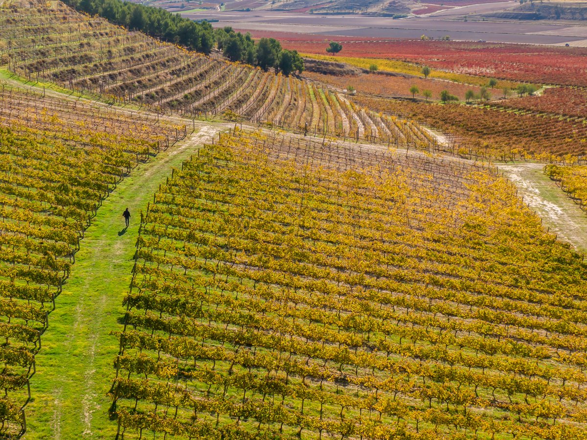 almacarraovejas's tweet photo. #FelizLunes
Nos encanta el #otoño. https://t.co/NqhJrICPDO