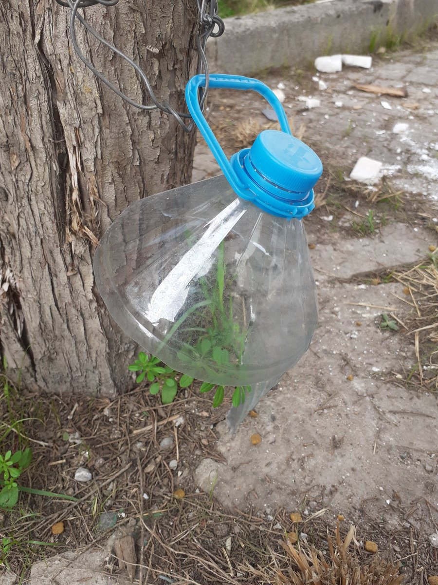 Mama kabinin altini kesip mamalari kaldirima savurmuslar! Yetti artik cidden