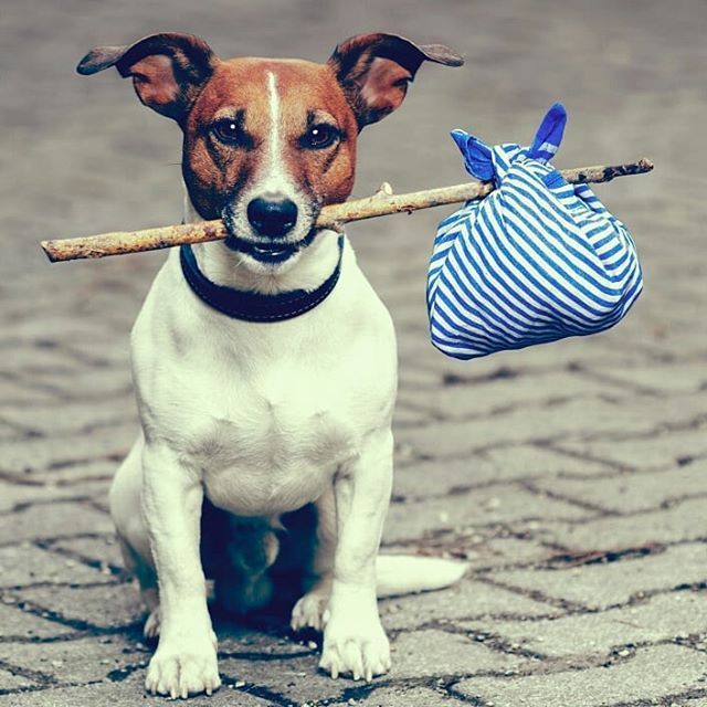 makinglawsimple's tweet photo. MOVING HOUSE? Top Tip:
Decide early on how you want to own your new property (joint tenants or tenants in common) as you may need to consider Wills and/or a Declaration of Trust. Its difficult to deal with these at the last minute.
#makinglawsimple https://t.co/iDrLkaHb1u