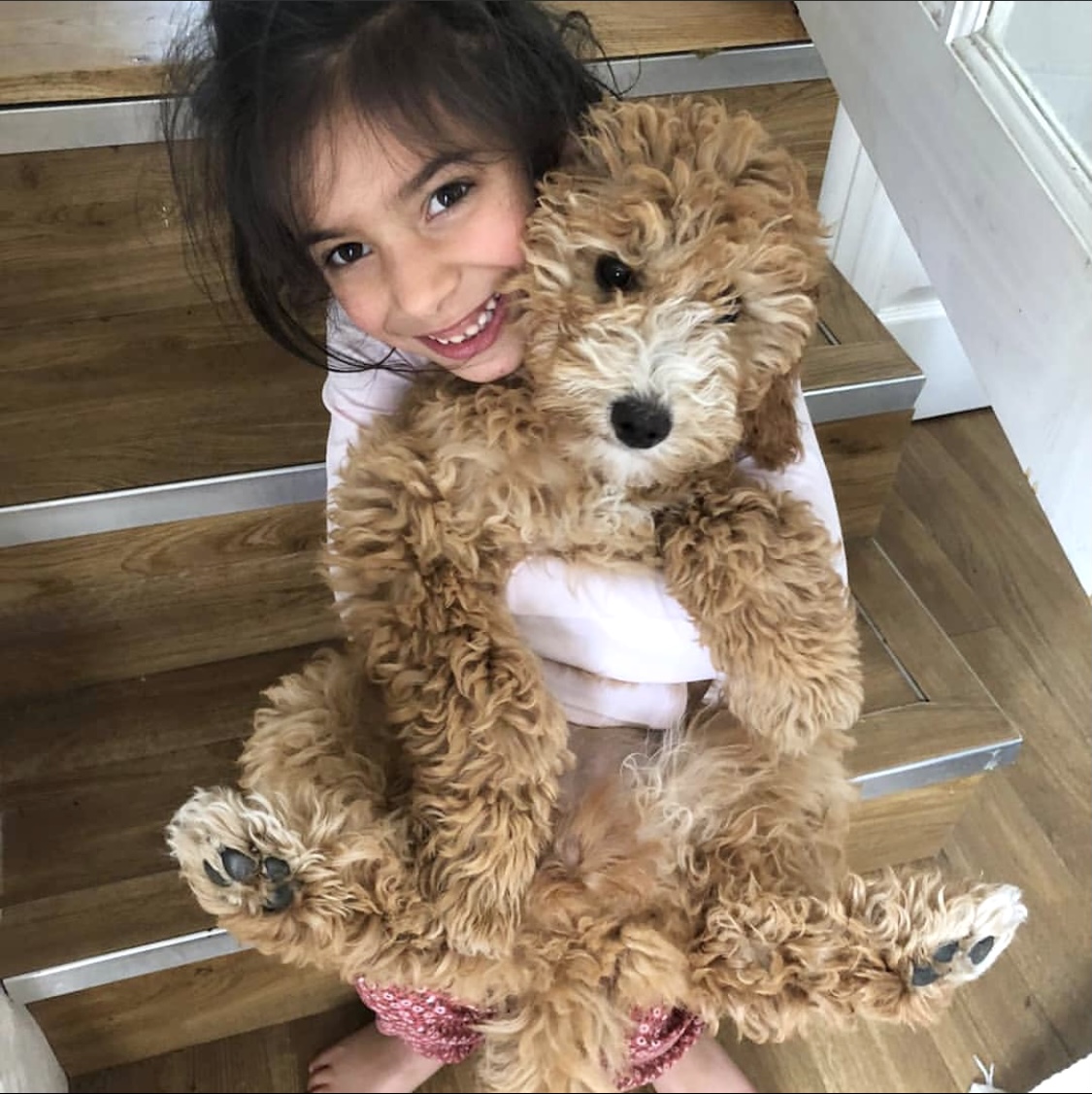 How did your little ones spend their weekend? Did the sideways #rain put you off going out or did you manage to catch the brief sunshine?!
There was toasting of marshmallows, lots of #hugs &amp; #lego galore!
#community #school #friends #betogether #fun #school #classroom #children