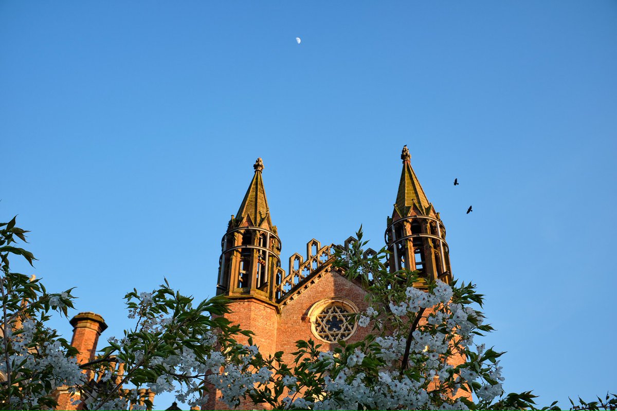 MKMC’s beautiful grounds remain open dawn till dusk with Takeaway Cafe open 11am - 4pm. All classes and course will continue with Live Streaming > BOOKING @ Manjushri.org. Stay safe ~ Stay connected 💛 #lakedistrict #cafe #meditation #innerpeace #escape #woodland #walks