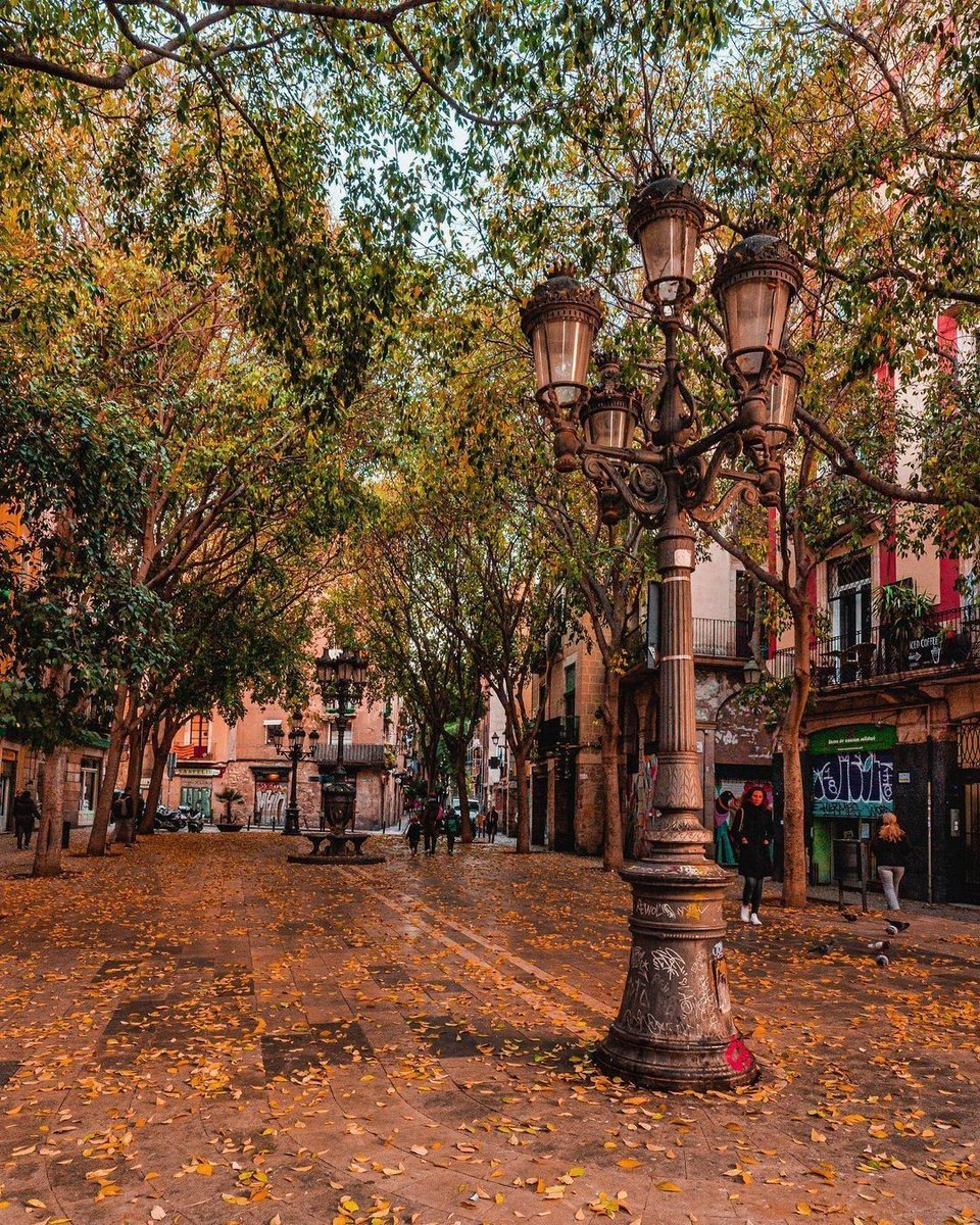 Visit Barcelona on X: "And autumn continues to reward us with its calm beauty 🍂 📸 ©shootwithjuan (IG) #inLOVEwithBarcelona #inLOVEwithCatalonia https://t.co/0IfqG9zemY" / X