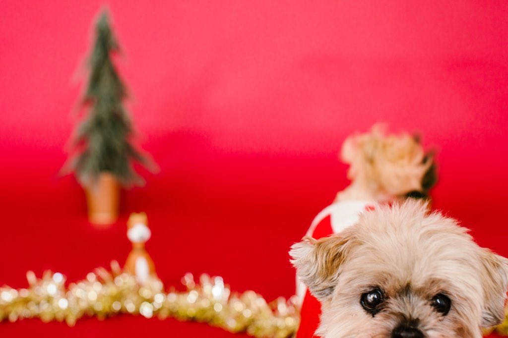 An important thread Let