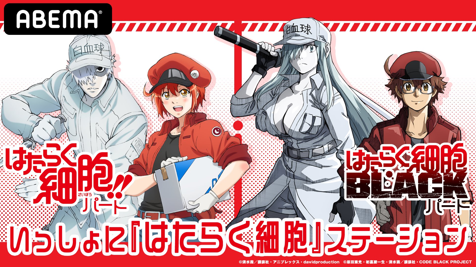 Anime Winter 2021 はたらく細胞BLACK Hataraku Saibou BLACK Cells at Work! Code  Black Japan release date= Jan…