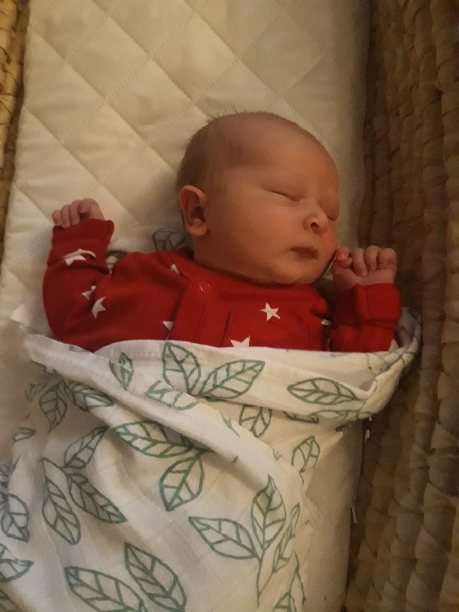HIT_MD1's tweet photo. A massive @HITTraining @Connect2Care hello to the latest #HITbaby Aelfwynn born on 31st October, the daughter of Graham from our #NorthDevon &amp; #Somerset team and his wife Beth. Isn't she scrumptious? https://t.co/IgZUEVYRgf