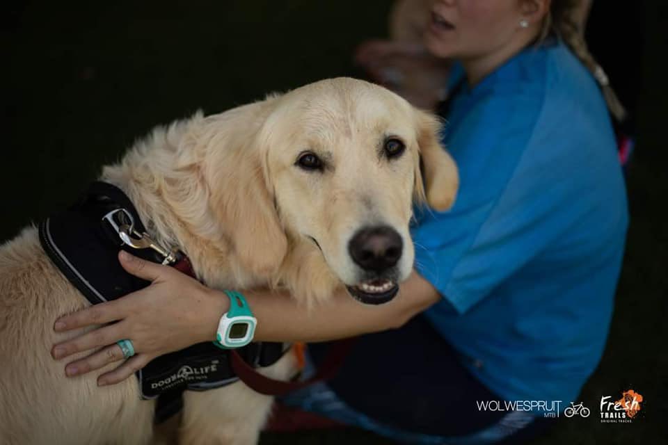 Ryno_Griesel's tweet photo. See you again tomorrow (Tuesday) eve at 18:00 for our weekly @Salomon_SA Time Trial at @Wolwespruit_MTB - burgers &amp; beers at #Pltfrm restaurant afterwards - also bring your furry friends 🦮
📷 @TerenceVrugtman (pic 1&amp;3) https://t.co/VfqNML85KF