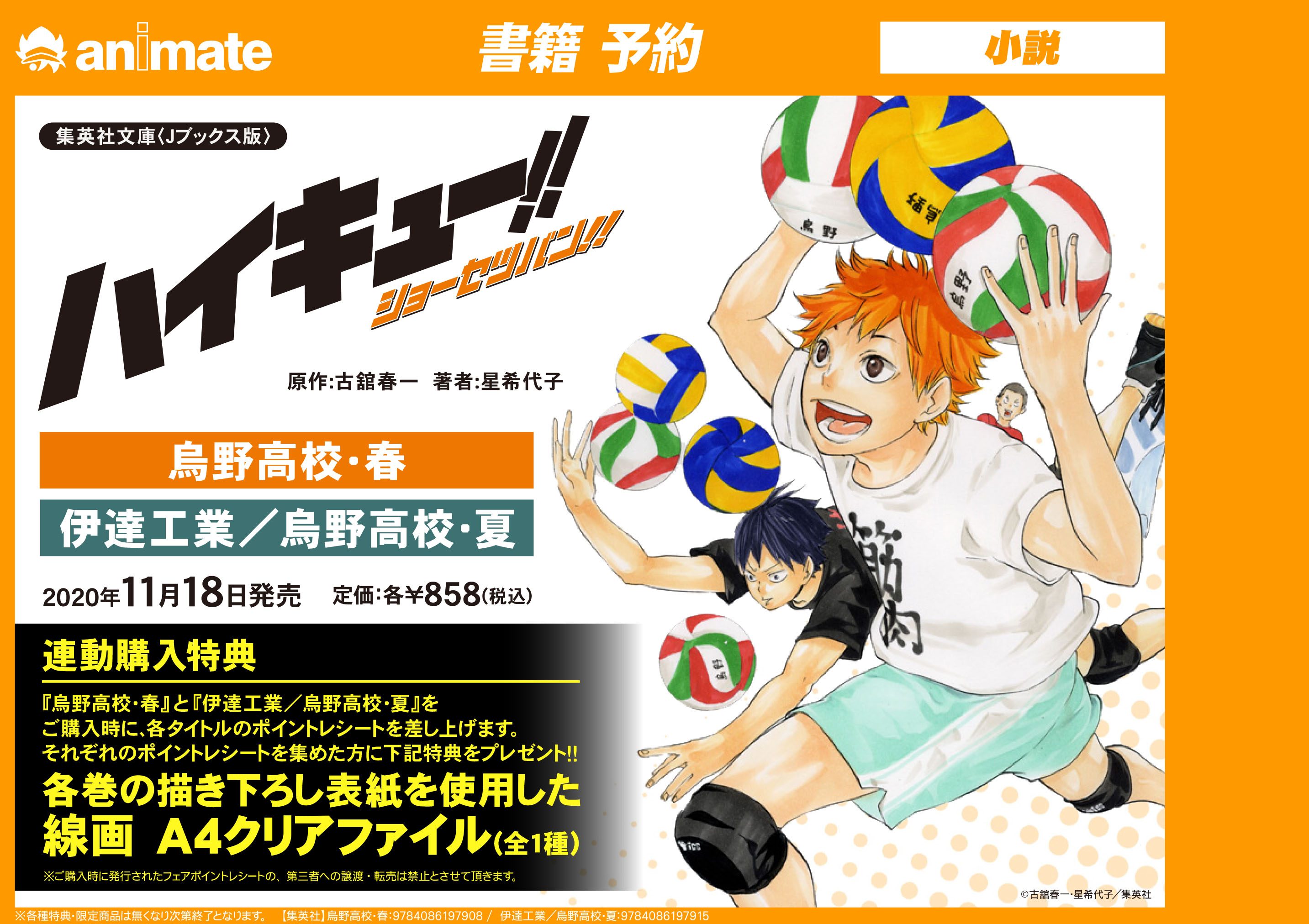 ハイキュー‼︎ ショーセツバン 特典 クリアファイル ➀ハイキュー‼︎ ショーセツバン 特典 クリアファイル 3枚