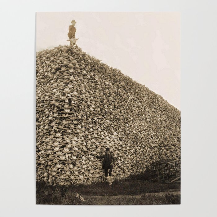 And, one that happened so recently that there are photographic records.This pile of buffalo skulls was made, purposely, to starve millions of people to death.This is what is left from that massive deliberate famine.