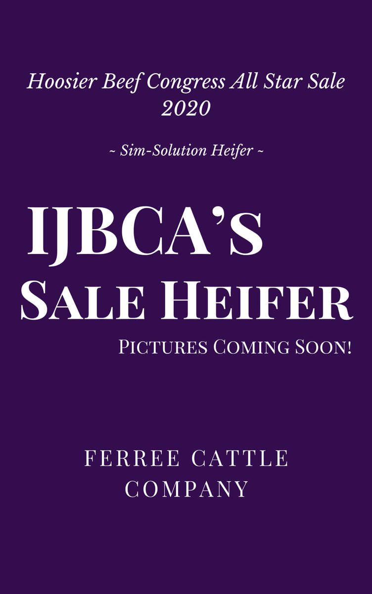 IJBCA's tweet photo. IJBCA SALE HEIFER INFORMATION
•••
We are excited to announce the return of the IJBCA Indiana's Finest Heifer this year in the Hoosier Beef Congress All Star Sale. Donated by Ferree Cattle Company, this is a Sim-Solution heifer out of Broker x Loaded Up. Pictures coming soon! https://t.co/MxfANDT4h7
