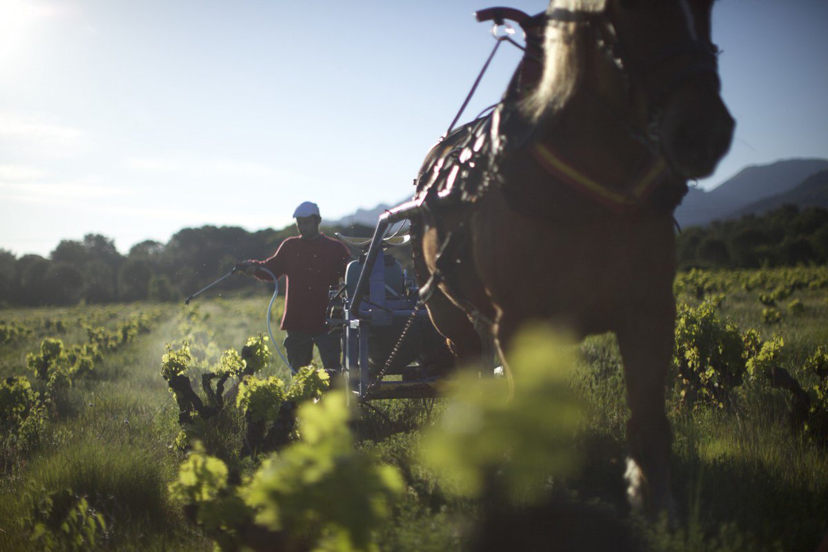 cinemaplanete5's tweet photo. À l’eau & en visio ! Le Metz Film Festival maintient sa soirée #BIOJOLAIS du 19 novembre ! Il était initialement prévu un cinédébat avec la diffusion du film #WineCalling du réalisateur français Bruno Sauvard au cinéma #Klub à #Metz.
Rdv à 20h30 en visio 📲https://t.co/nvFPv6QSUv https://t.co/k4sPwzZ3a2