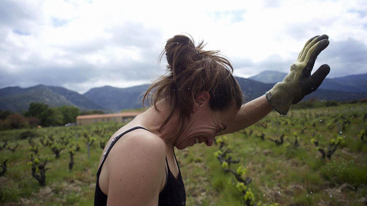 cinemaplanete5's tweet photo. À l’eau & en visio ! Le Metz Film Festival maintient sa soirée #BIOJOLAIS du 19 novembre ! Il était initialement prévu un cinédébat avec la diffusion du film #WineCalling du réalisateur français Bruno Sauvard au cinéma #Klub à #Metz.
Rdv à 20h30 en visio 📲https://t.co/nvFPv6QSUv https://t.co/k4sPwzZ3a2