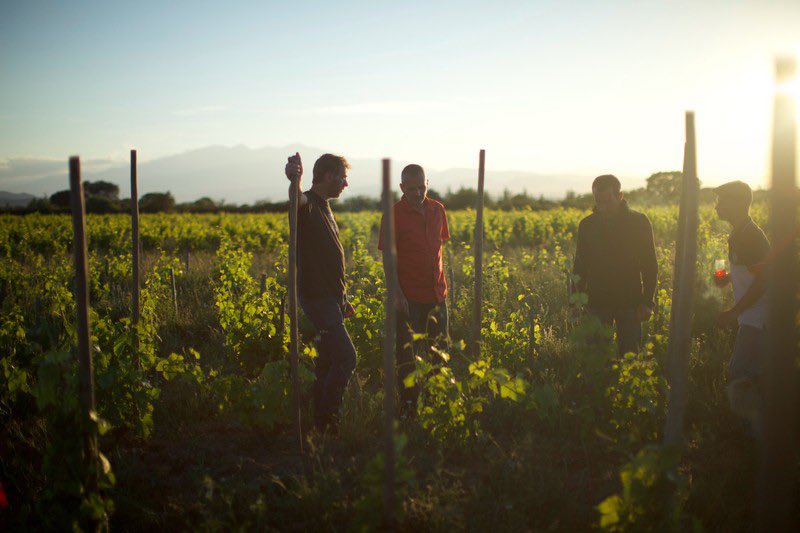 cinemaplanete5's tweet photo. À l’eau & en visio ! Le Metz Film Festival maintient sa soirée #BIOJOLAIS du 19 novembre ! Il était initialement prévu un cinédébat avec la diffusion du film #WineCalling du réalisateur français Bruno Sauvard au cinéma #Klub à #Metz.
Rdv à 20h30 en visio 📲https://t.co/nvFPv6QSUv https://t.co/k4sPwzZ3a2