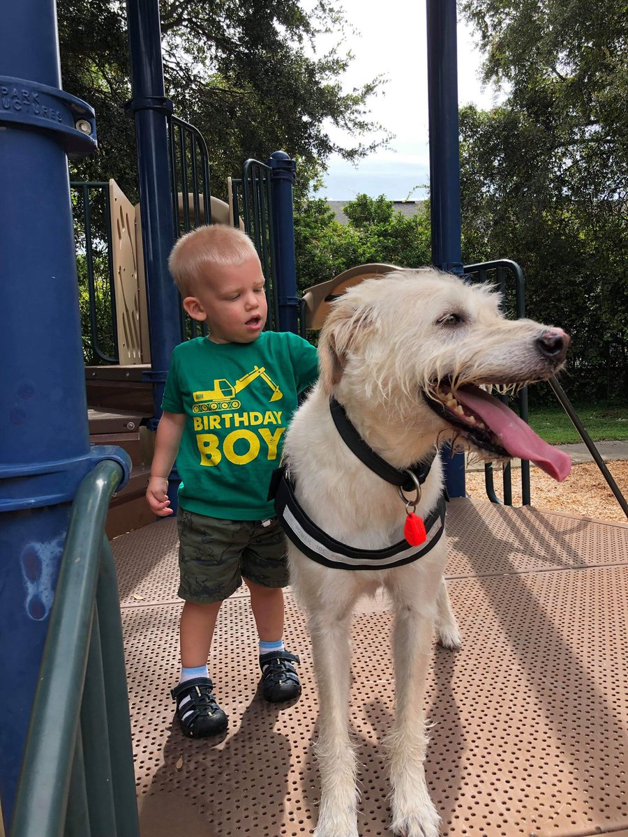 Julius-K9® tweet media