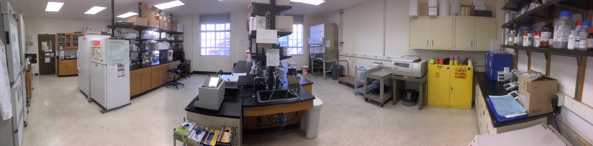 MitraLab2's tweet image. All cleaned up and IBC Approved!!!