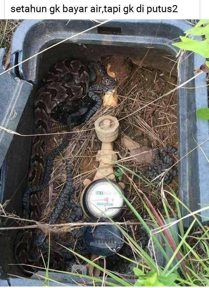 depweb.zip (evaluation copy) (@stratocstr) on Twitter photo 