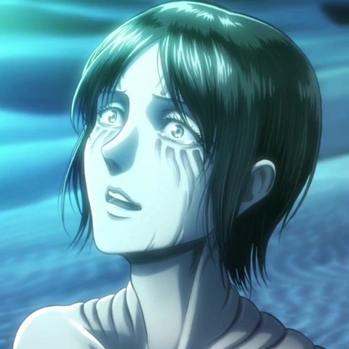 MangaVsAnimeAot's tweet photo. https://t.co/XZZ1k5Ijt3