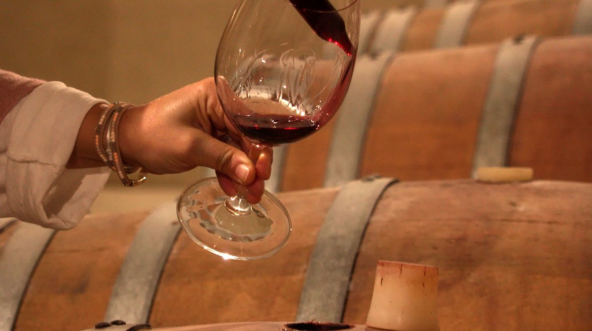 doqpriorat's tweet photo. 🍷 ¿Sabías que un Vi de Paratge muestra una esencia todavía más pura con un carácter ligado a la orografía, la geología y un microclima más delimitado?

#DOCaPriorat #Winelover #Elsnomsdelaterra https://t.co/8vQ4BrAWlj