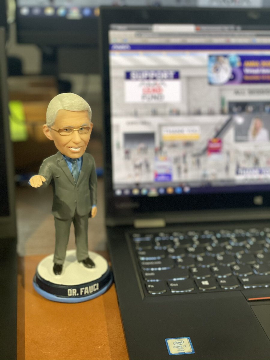 RandaPerkinsMD's tweet photo. My #AMIAbuddy has temporarily relocated from our mask station to my desk, presumably to prepare for a talk later #AMIA2020 https://t.co/aay7XBMLBE