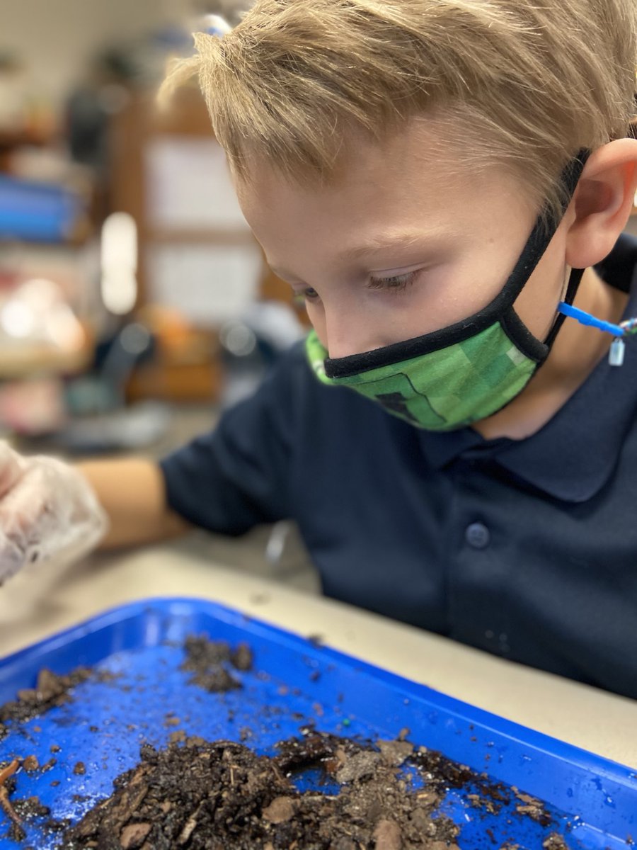 LesRperry's tweet photo. Learning about composting with live worms. Science in Deigh’s class is always gross, I mean fun!!! #WeAreLES ⁦@DeighEbony⁩ ⁦@libertyesSTEM⁩ https://t.co/9s5aBKCa3Y