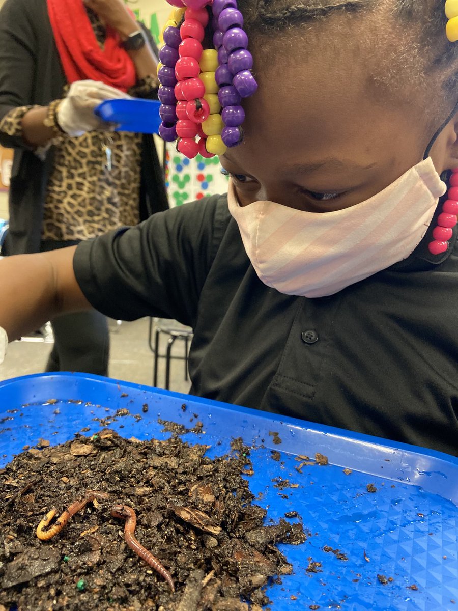 LesRperry's tweet photo. Learning about composting with live worms. Science in Deigh’s class is always gross, I mean fun!!! #WeAreLES ⁦@DeighEbony⁩ ⁦@libertyesSTEM⁩ https://t.co/9s5aBKCa3Y