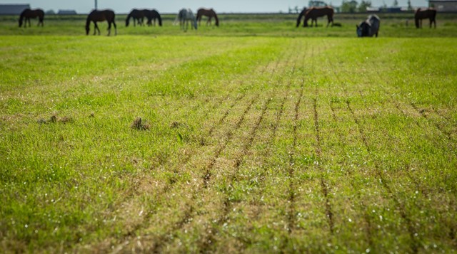 Het NCM heeft de jaarlijkse inventarisatie export en verwerking van dierlijke mest gepubliceerd. Op 20 november organiseert NCM <a href="/JanRoefs/">Jan Roefs</a> een webinar waarin het rapport en de resultaten worden toegelicht door @rembertvannoort. Meld je aan👉bit.ly/3kyFzHS