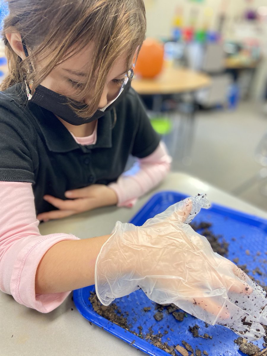 LesRperry's tweet photo. Learning about composting with live worms. Science in Deigh’s class is always gross, I mean fun!!! #WeAreLES ⁦@DeighEbony⁩ ⁦@libertyesSTEM⁩ https://t.co/9s5aBKCa3Y
