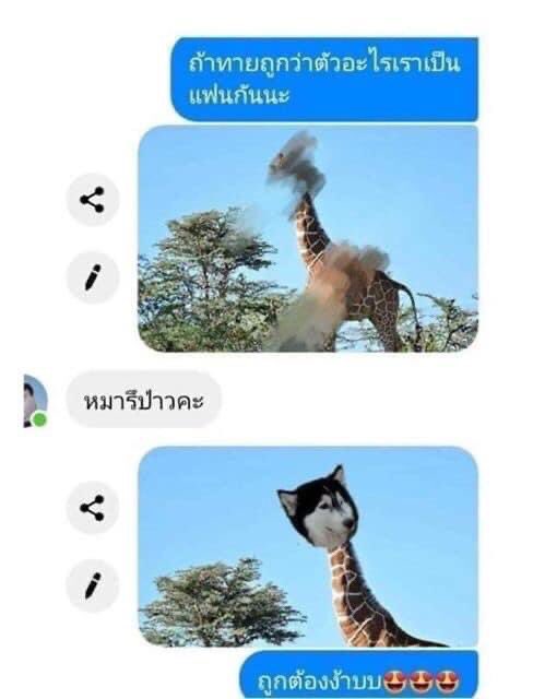 หนูเองค่ะ ⁷ 𐤀 (REST) 🏳️🌈 tweet media