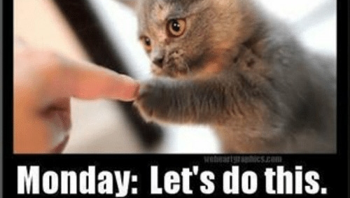 The_Wise_Jester's tweet photo. You got this!! 
 #mondaymotivation #mondaymood #morning #mondaymorning #motivationmonday #lifestyle #mondays #goodmorning #mondaymorninglaughs #notamorningperson  #makeitagreatday #yougotthis #livelifeauthentically https://t.co/FQXiJqt1sW