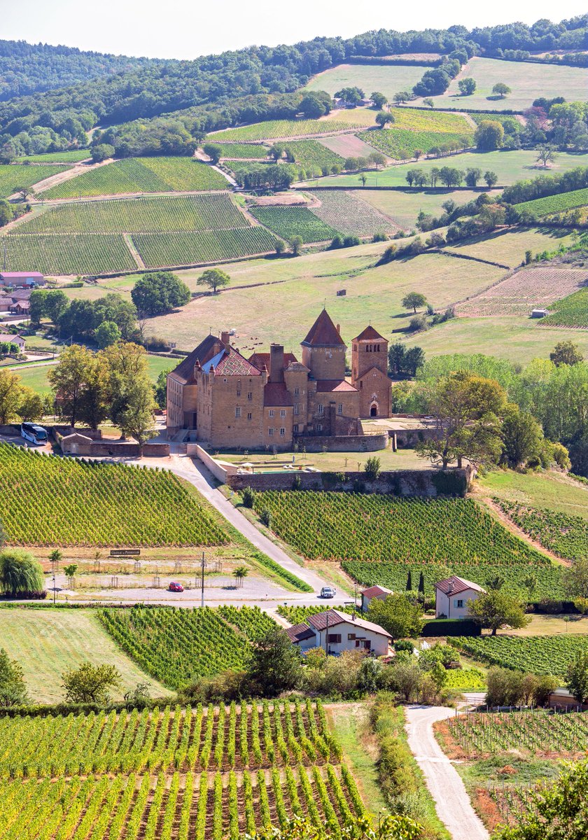 BFC_Tourisme's tweet photo. 7 minutes d'évasion dans le #Maconnais ! Quand @TF1 parle de la #Bourgogne pour une idée #weekend #postconfinement , on ne peut que dire Oui !
👉https://t.co/50TEVI40l0
📷 A.Doire /BFCT https://t.co/mh7dKCVzUD