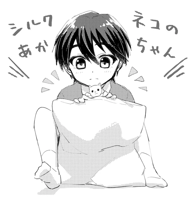 シルクネコの赤ちゃん… 