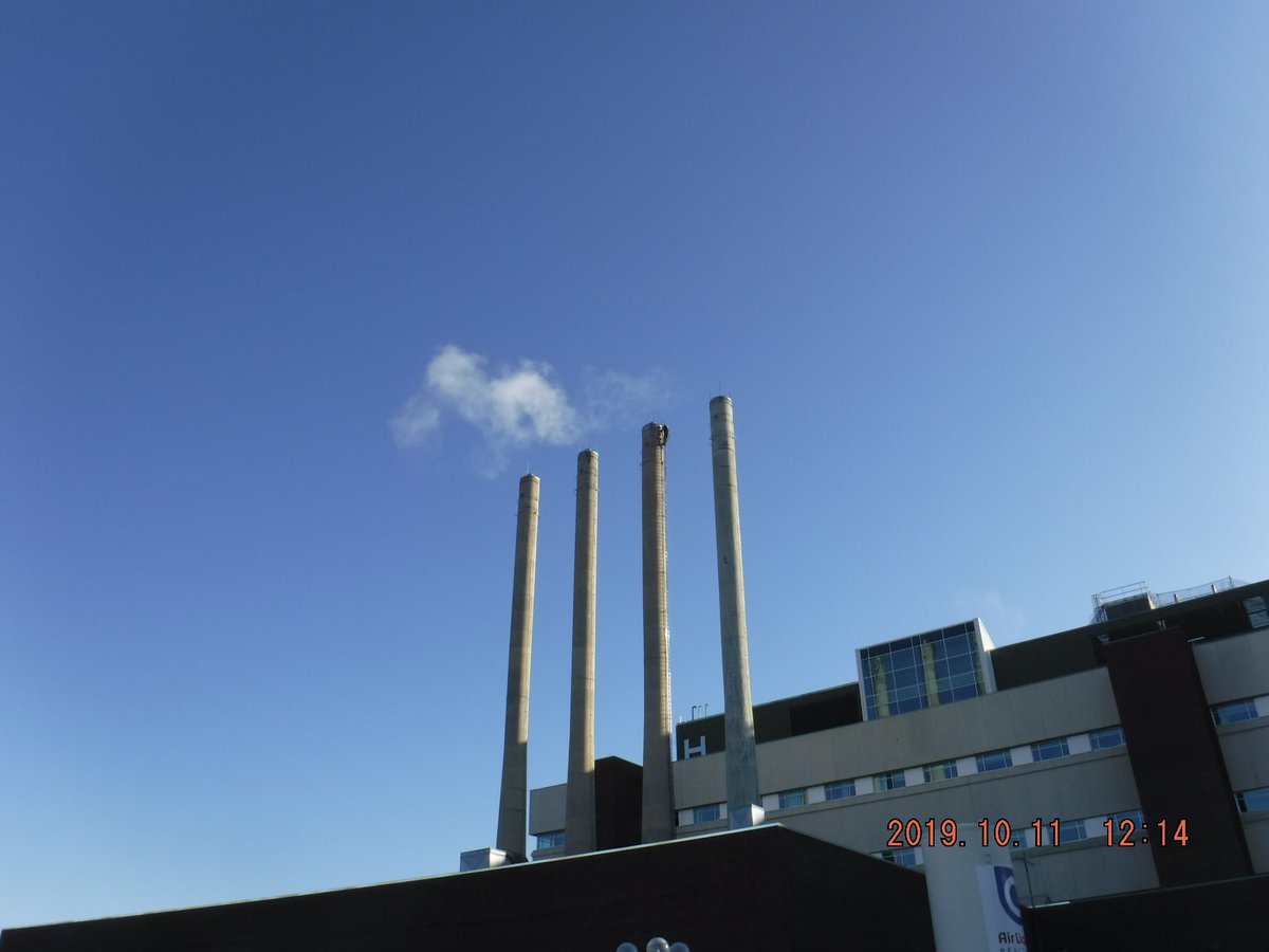 McLeanChimneyCo's tweet photo. The only true fire safety is prevention through industrial chimney cleaning and inspection on frequent intervals.
Contact shawn@mcleanchimney.com with questions 

#ChimneyExperts #McleanChimneyCoLtd #Canada #Ontario #IndustrialChimneyInspection #IndustrialChimenyMaintenance https://t.co/qtRgFVL4d7