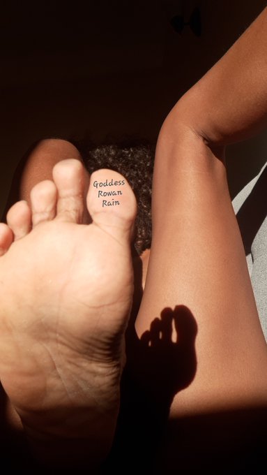 Wake that ass up. You've got things to lick, and suck ➿🖤👣🖤  &bull;femdom&bull;finD&bull;GoddessRowanRain&bull;  [ #bodyhair<a href="/tag/prettytoes"class="tags"><span>#prettytoes</span></a><a href="/tag/bodyhair"class="tags"><span>#bodyhair</span></a><a href="/tag/melaninqueen"class="tags"><span>#melaninqueen</span></a>
