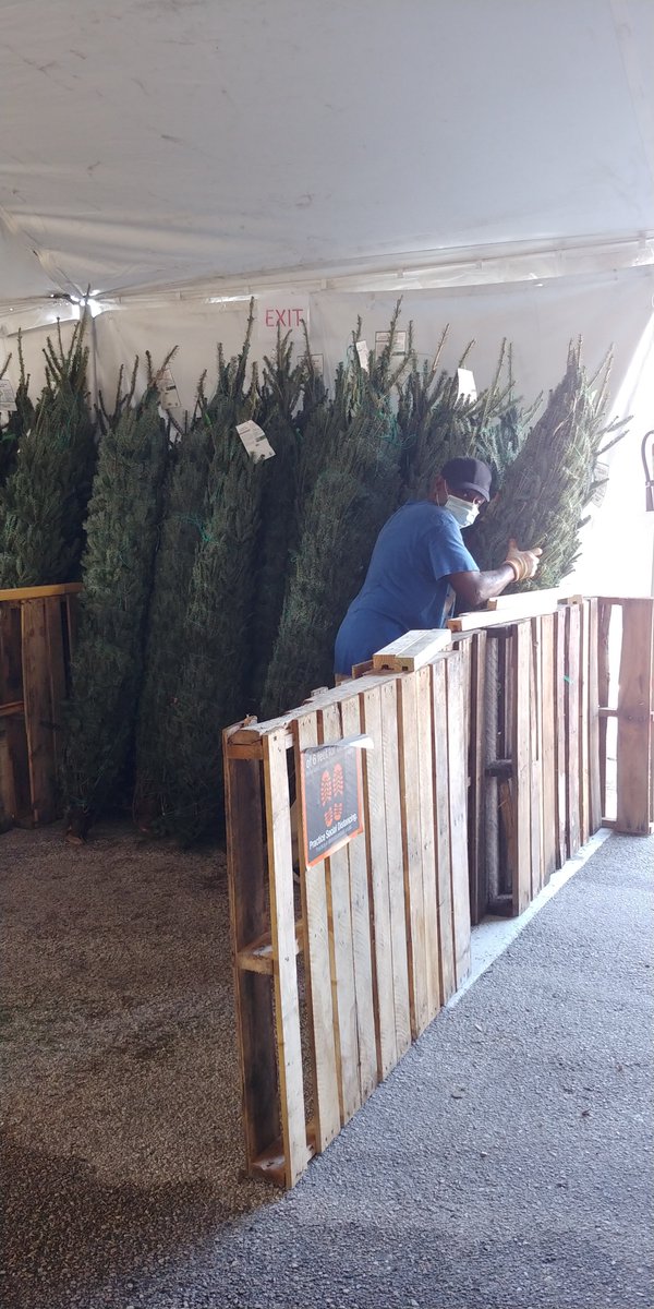 Seichner13 tweet media