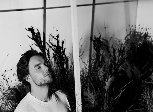 best of liam payne tweet media