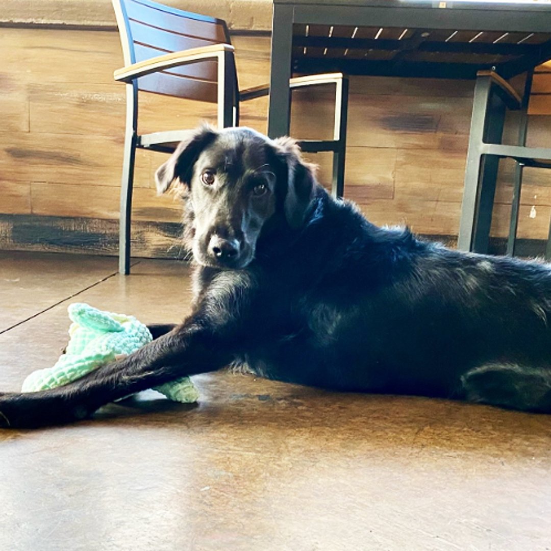 Happy Monday!🌤️  What are your top 5 favorite breweries?🤔
.
.
📸:Jeff P/Untappd🙌