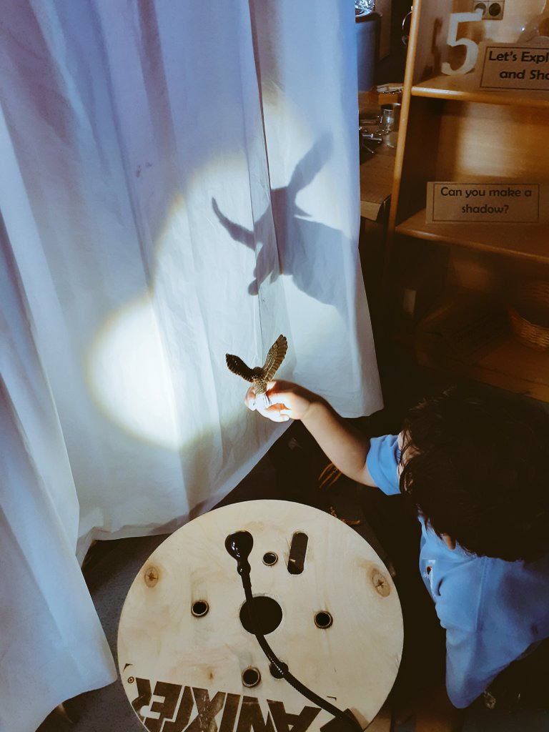 EYFSatStPhilips's tweet photo. Exploring light and shadows in Nursery today. "It's getting bigger, bigger, bigger shadow bird!" Z #shadows #aweandwonder @STPHILIPSCE @WeAreBDAT https://t.co/98NHN9eh8n