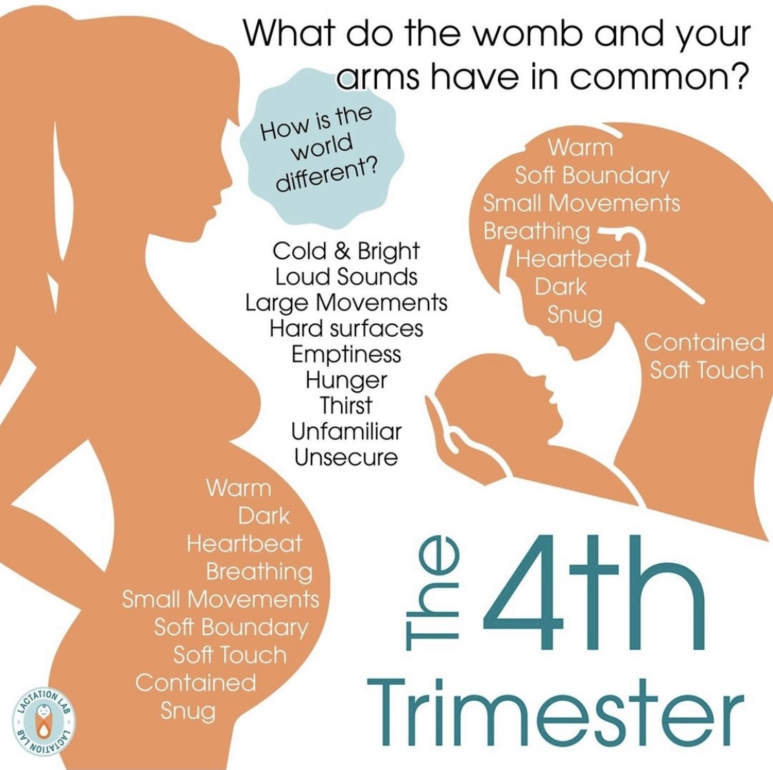 LactationLab's tweet image. Many #parents ask "why does my baby always want to be held or be close to me?" Check out this comparison of how baby feels in the womb vs. your arms vs. the world. What was your experience in the #fourthtrimester?